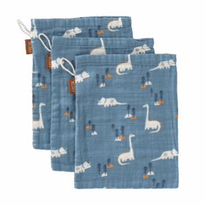 washand dino